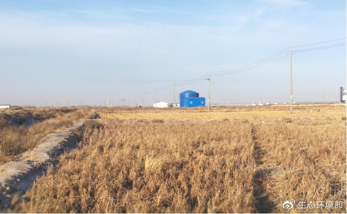 吉林白城自然灾害,吉林破坏生态环境案件