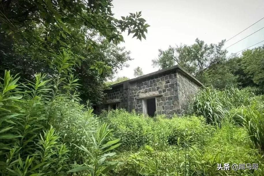 上海附近有哪些露营地可以看星星,上海周边免费露营地推荐人多