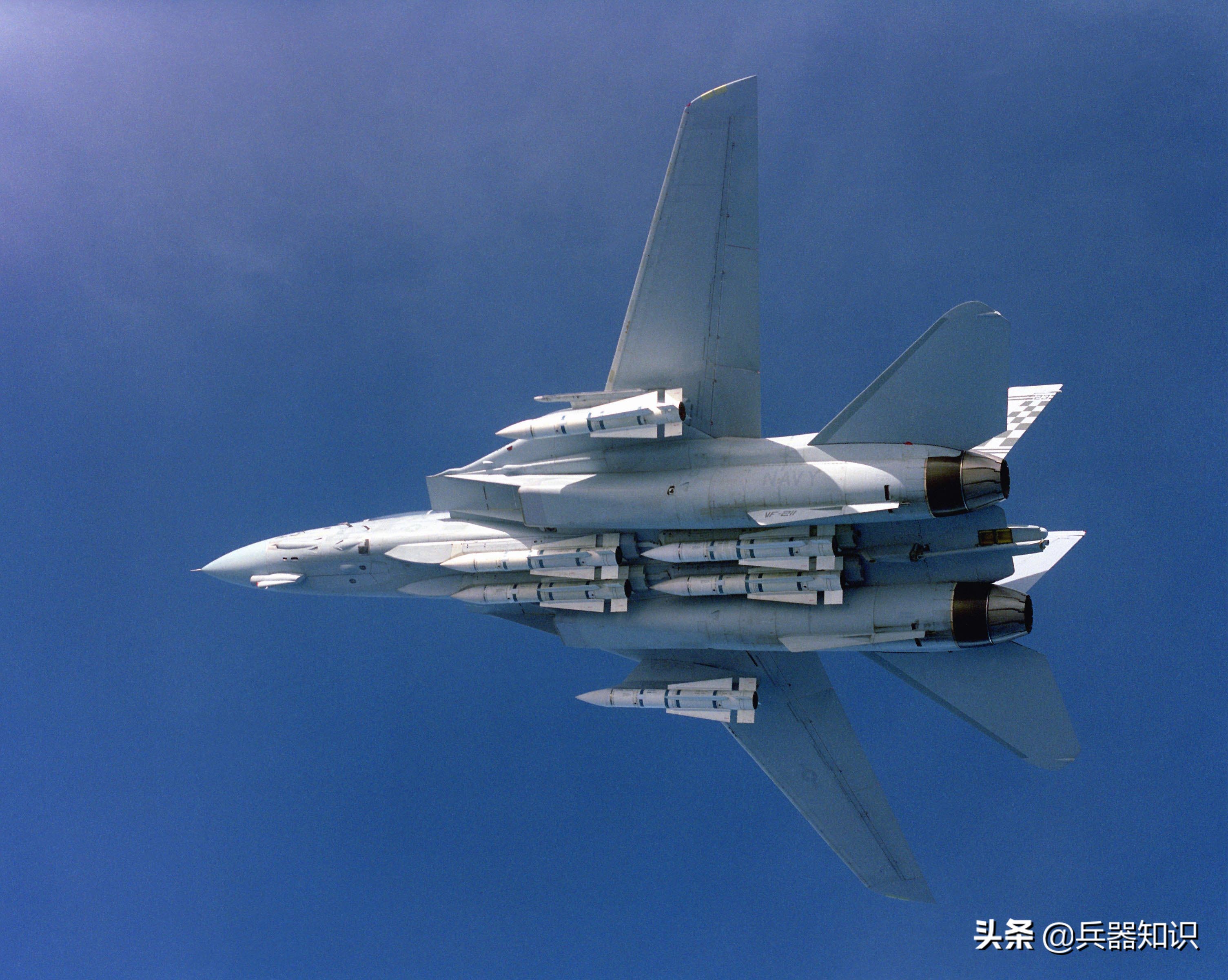 鸟中之王排行榜,鸟中之王