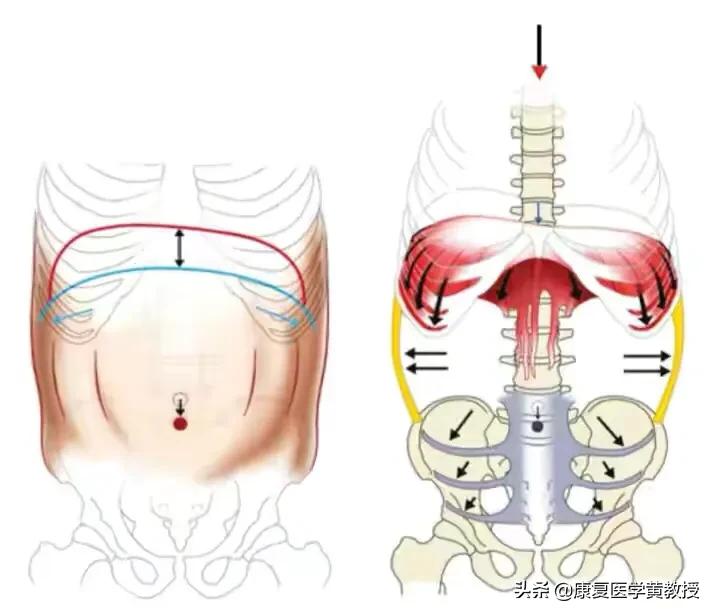 想象力重要吗,想象力的重要性
