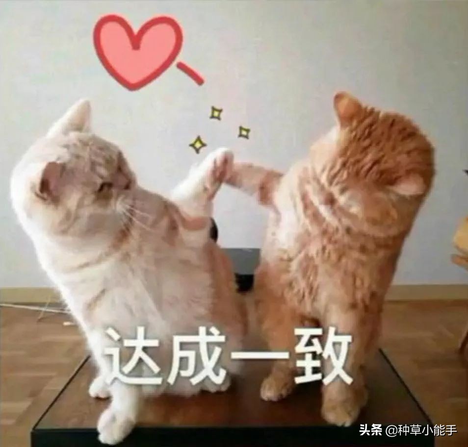 lamer哪款好用,lamer好用吗