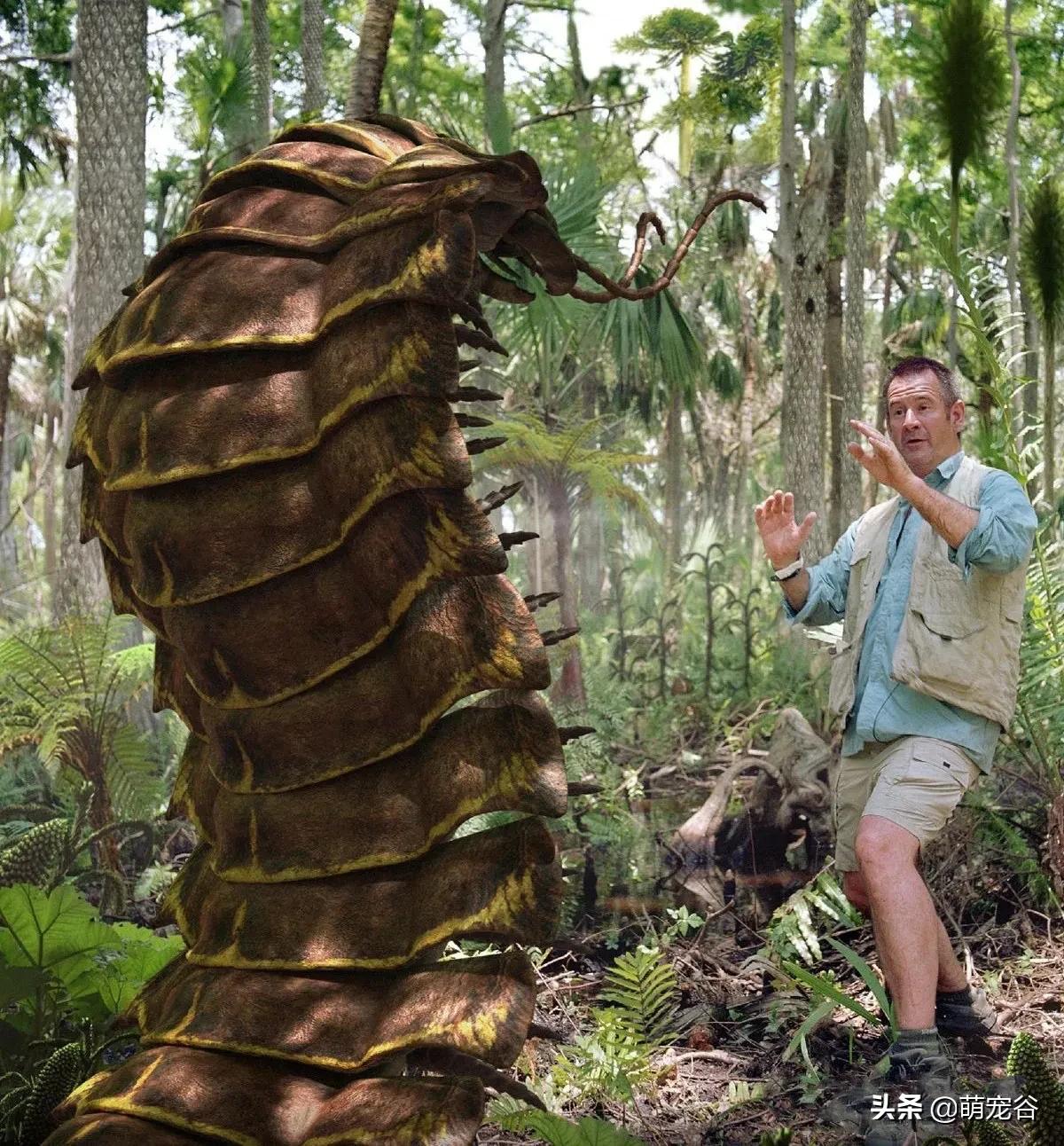 巨型蜈蚣长三米,世界上最长的3米巨型蜈蚣