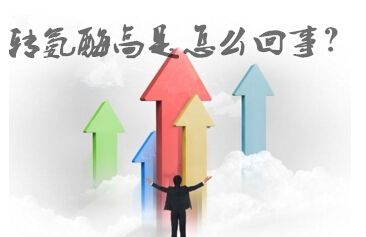 转氨酶升高是肝脏出现了什么问题,转氨酶是看肝脏的损伤程度是吗