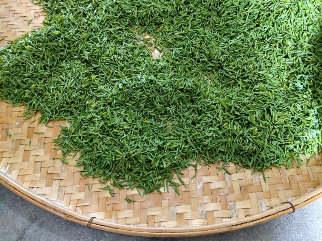 碧螺春红茶上市时间表图片,碧螺春明前茶什么时间上市