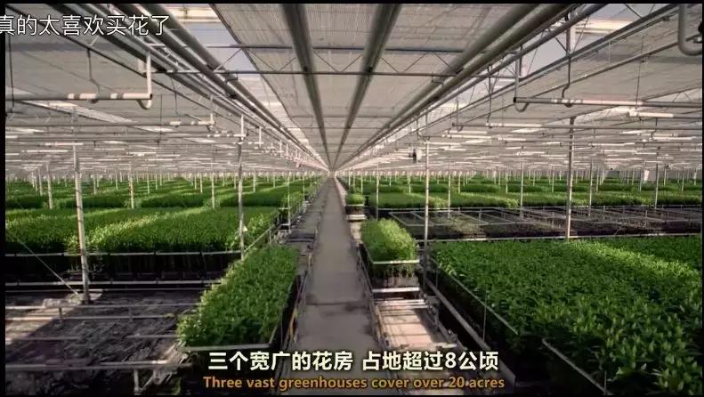 bbc中国探秘纪录片,bbc探秘印尼爪哇古洞