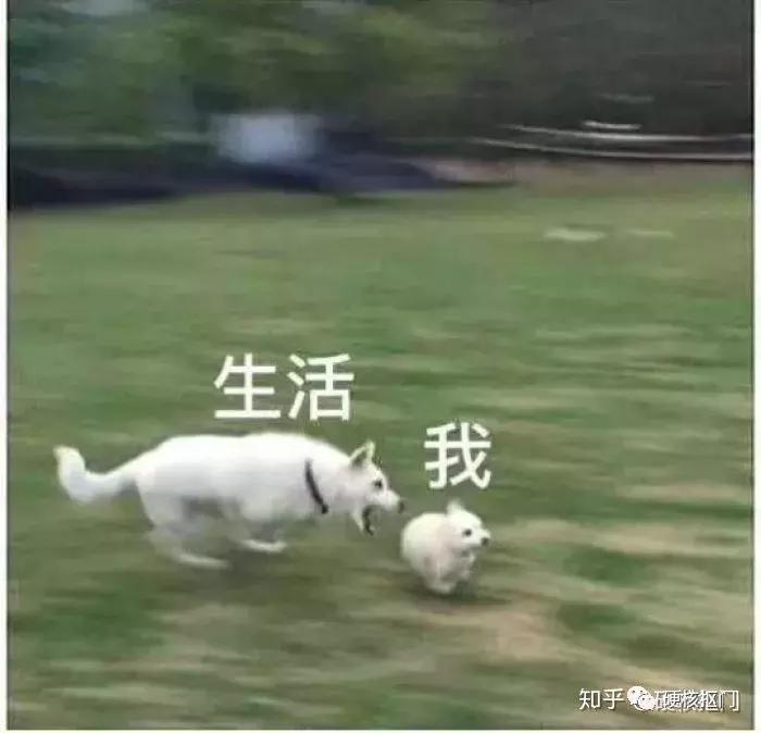 日常消费省钱窍门,有什么省钱技巧