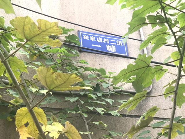 崔家店在成都的什么位置 (成都崔家店最好的地方)