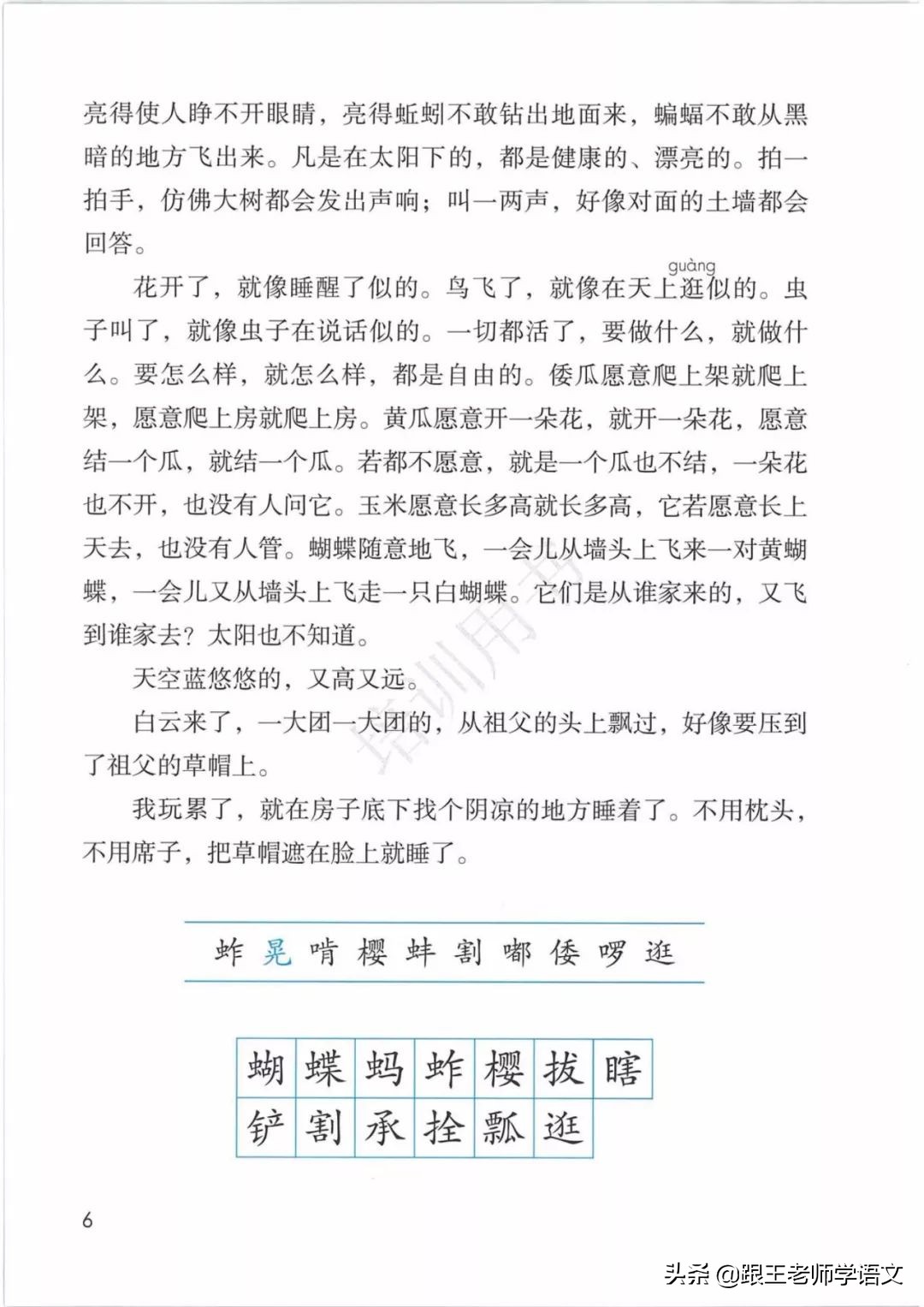 五下语文书祖父的园子预习笔记,五年级下册祖父的园子的好词好句