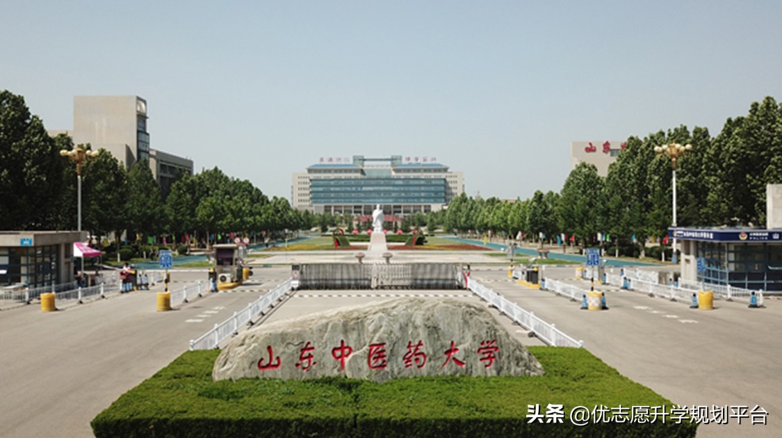 山东第一医科大学热门专业排行榜,山东春考医学专科有哪些专业