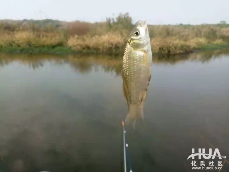 化氏不空军糊味,化氏不空军谁代工的