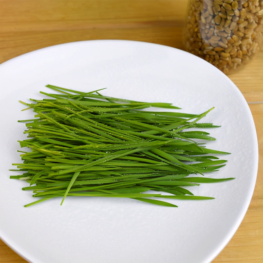 猫咪吐毛球用什么化毛膏,猫咪吐毛球了怎么办化毛膏