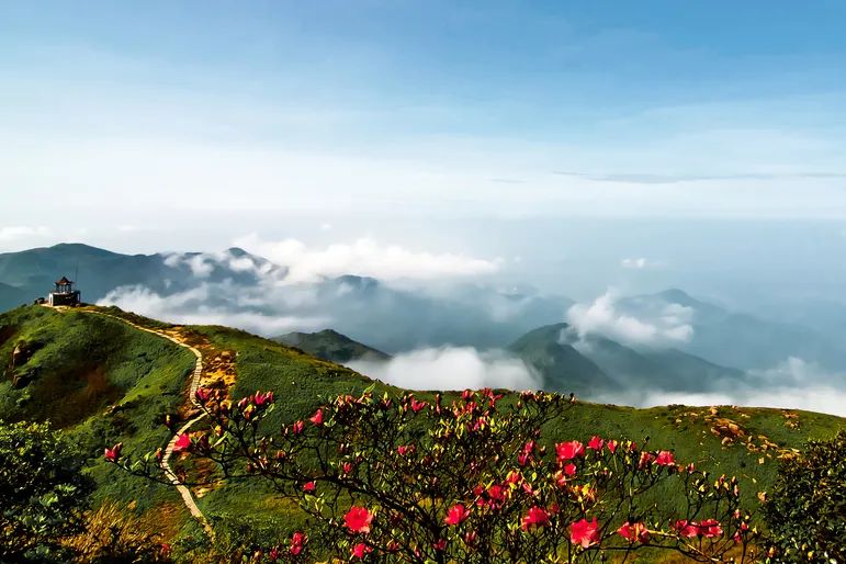 广西贺州长寿之城,广西长寿之市贺州