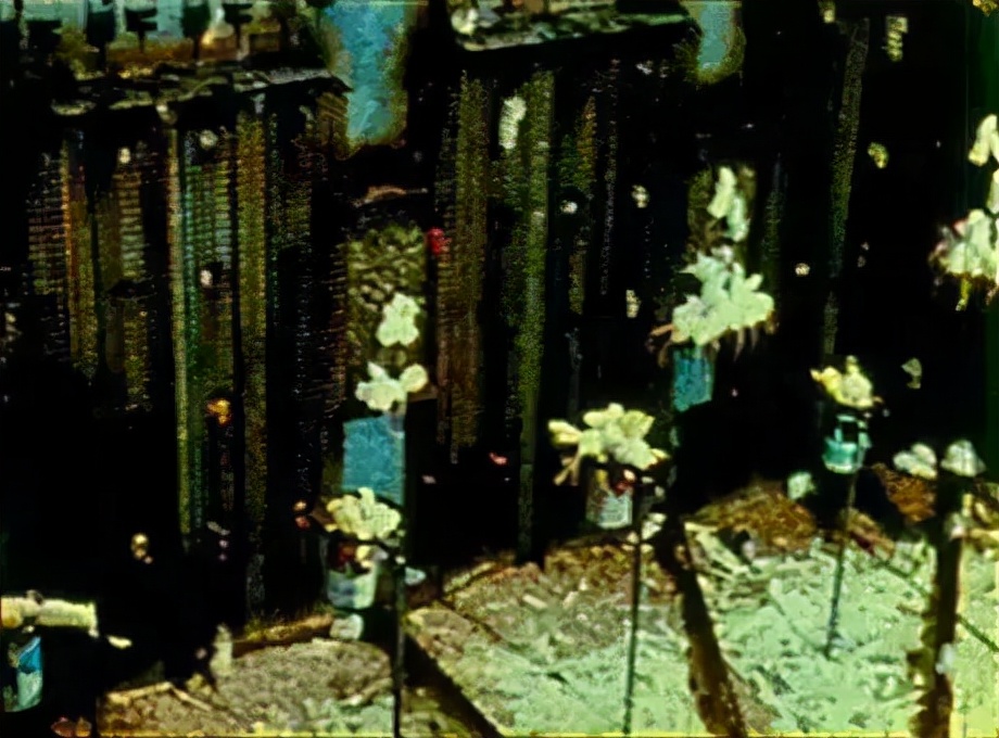 性冷淡性变态！性萧条时代来临！这场暗黑实验，解释社会矛盾