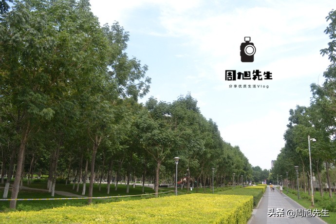 畅游沈阳｜沈阳科普公园，开展科普活动的主要公园