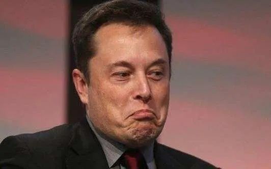 拼多多特斯拉事件,拼多多万人团特斯拉