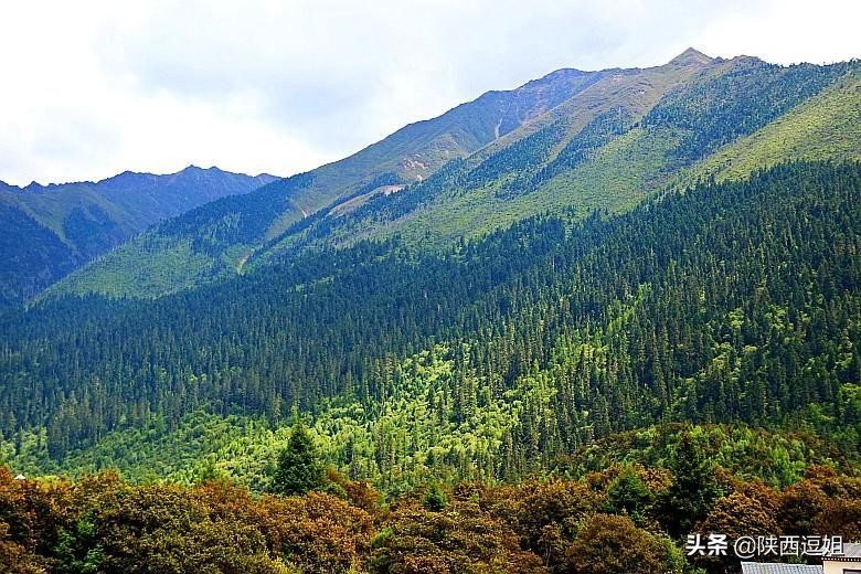 西藏西措旅行,行摄巴松措图片