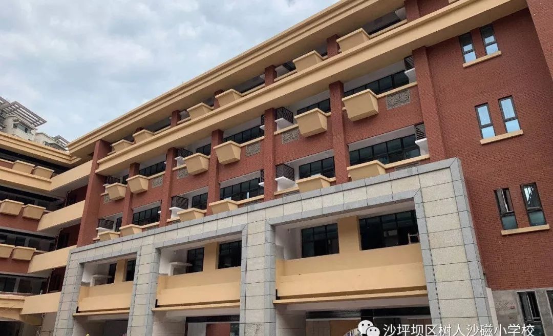 为什么提到树人小学,树人小学为什么好