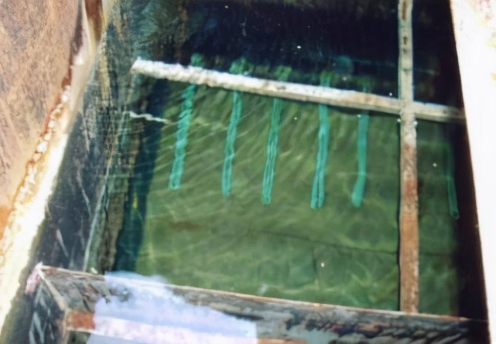 德国如家,德国特拉多姆公司