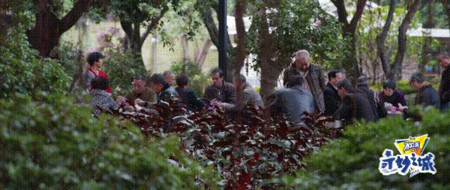 浪漫的夏天藏在厦门的海风里,厦门的夏天又热又浪漫