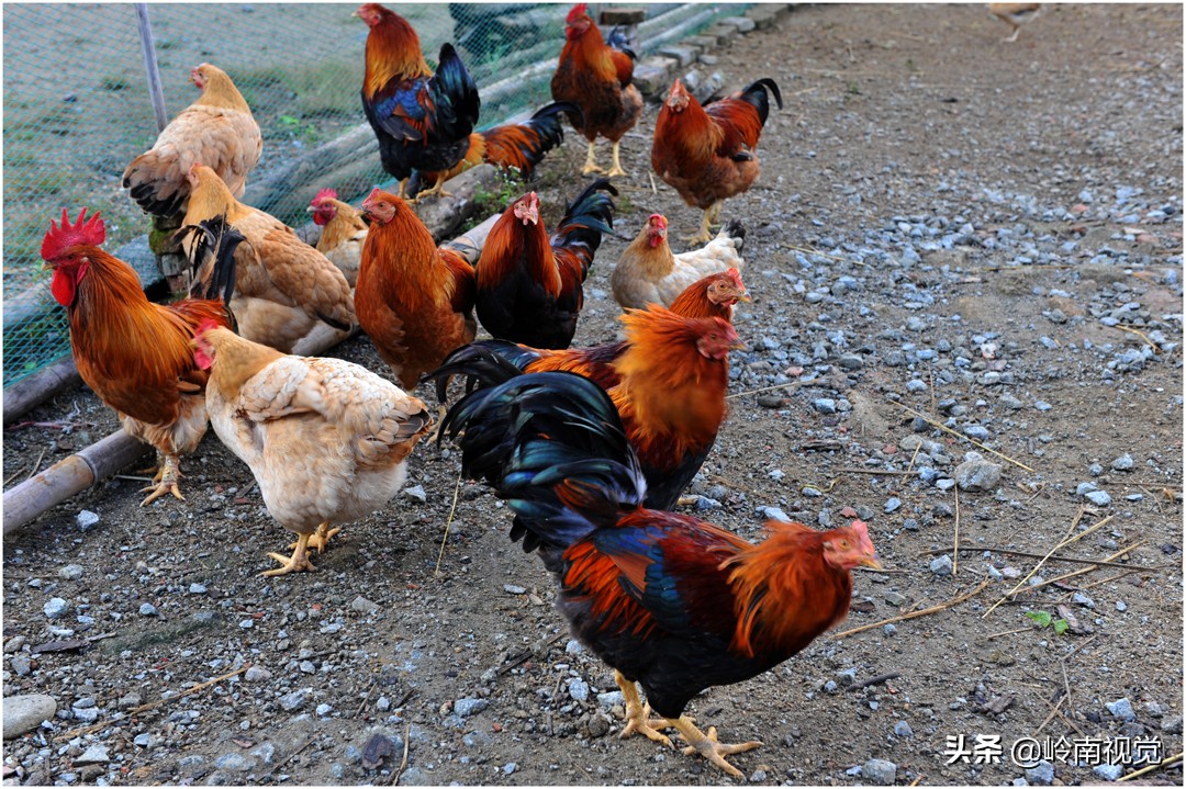 走进大山探访,探访深山医院