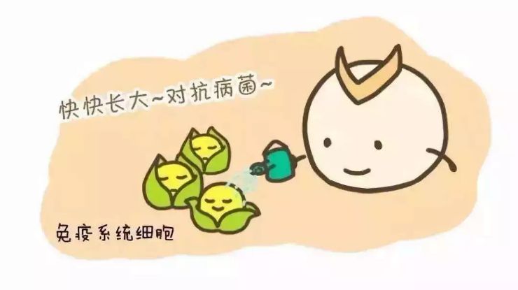 关于乳铁蛋白的那些事，那些不鲜为人知