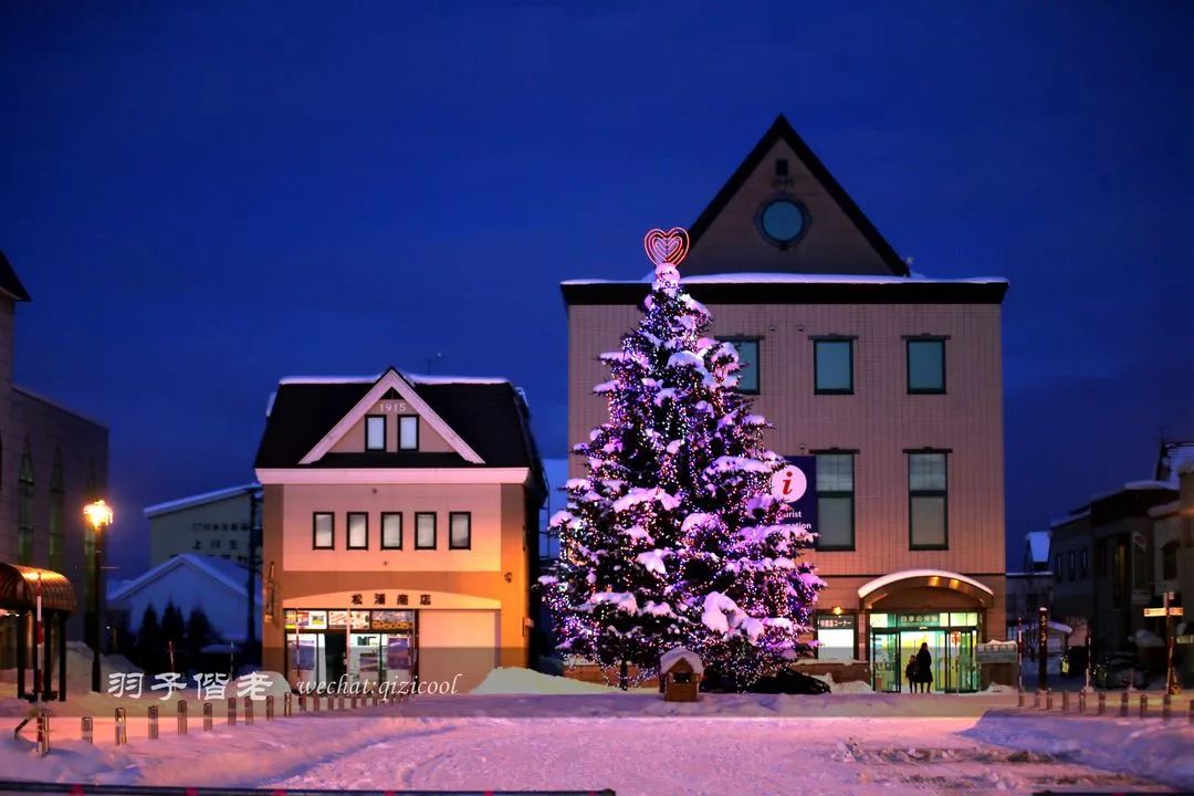 日本10天自由行费用北海道,东京北海道5日自由行攻略