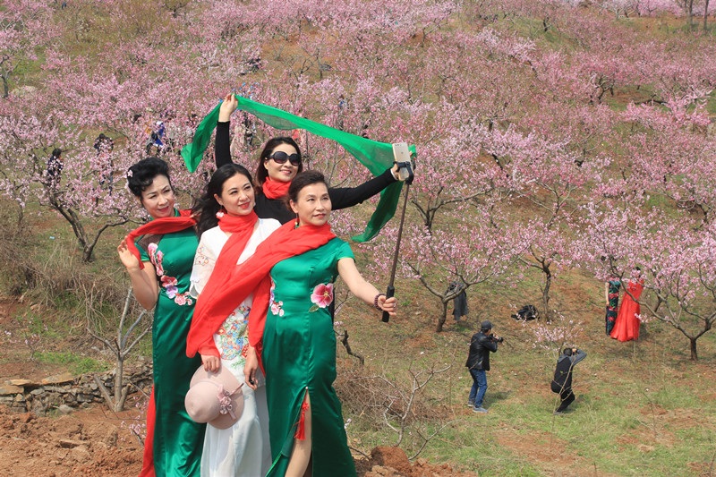 2024年峄城仙人洞桃花节时间,峄城仙人洞桃花节