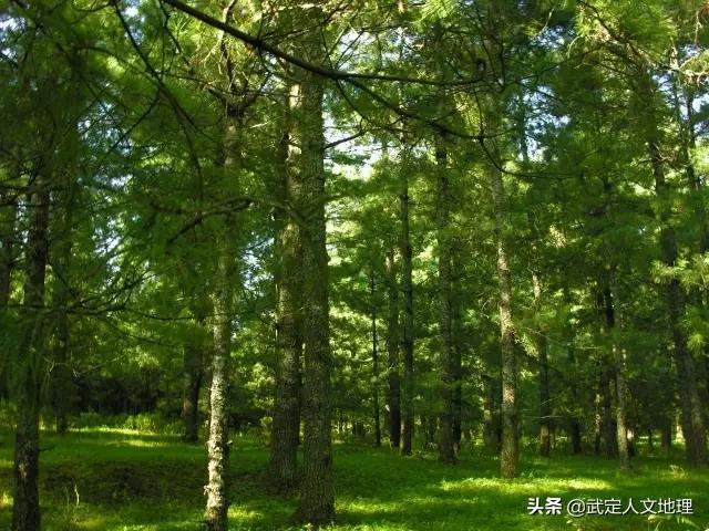 彩云之南美丽的云南,彩云之南云南省昆明市