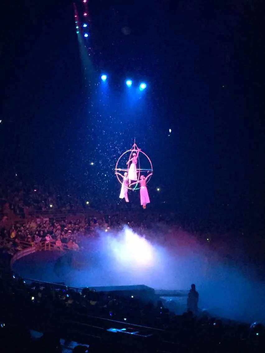 先去广州长隆再去珠海长隆攻略,带小朋友来珠海长隆两天一晚攻略