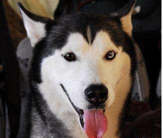 笑话大全,搞笑内涵图,内涵段子