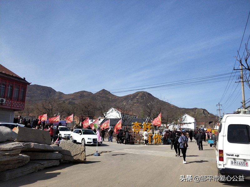 邹平黛溪张高杏花节直播,张高杏花节开幕式完整版
