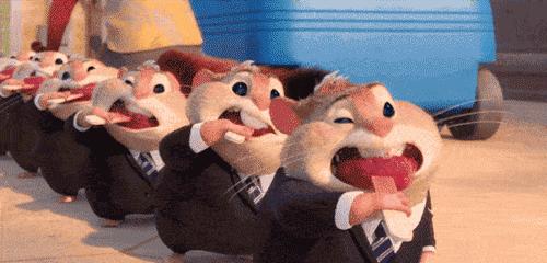 旅鼠集体跳海，暴露自杀，可能只是我们人类的臆想