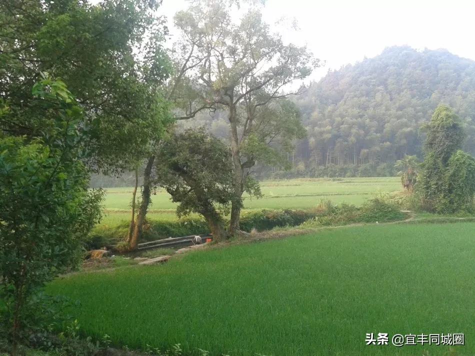 这些失传已久的童谣你还记得吗,这些即将消失的老行当你还记得吗