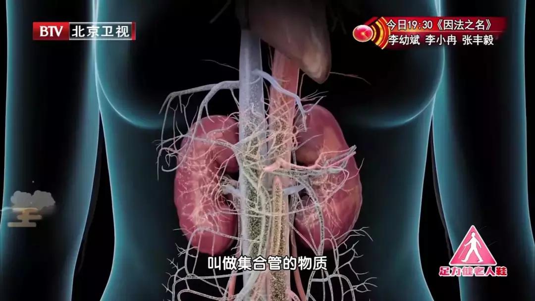 如何从尿液常规判断肾的健康状况,身体出现这几个症状时要警惕肾