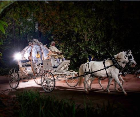 你不能在爱情里丢失自我,在爱情里为什么丢了自我