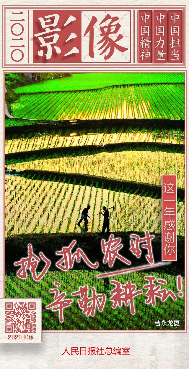 日历黄历海报图片,独生子女年历海报