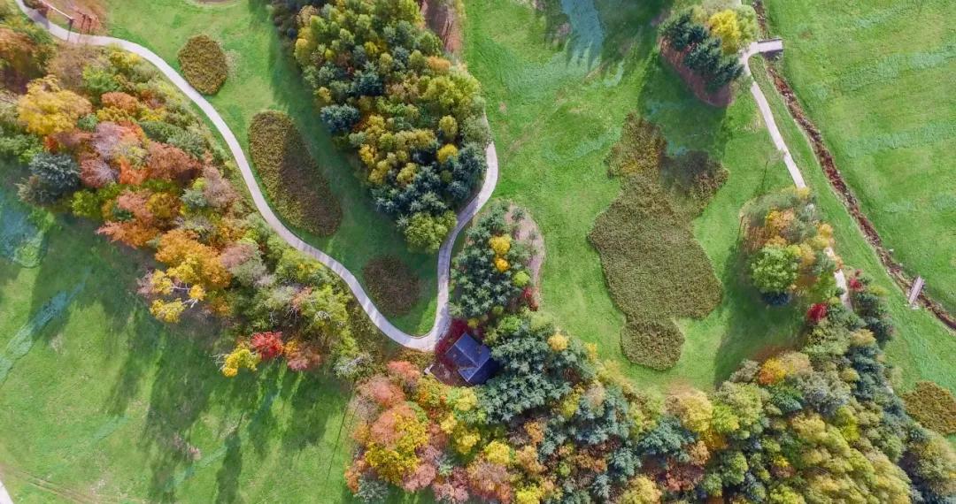 心形岛美景图片,心形岛最美景点