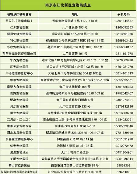 江北区养大型犬,江北宠物基地