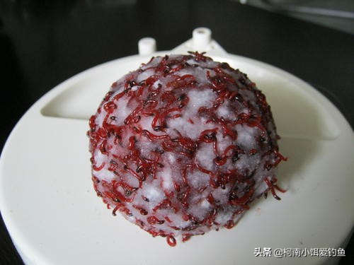 红虫病有多可怕,红虫是不是血线虫