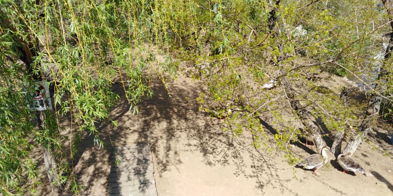 沈阳长白岛森林公园一日游攻略,长白岛森林公园五一