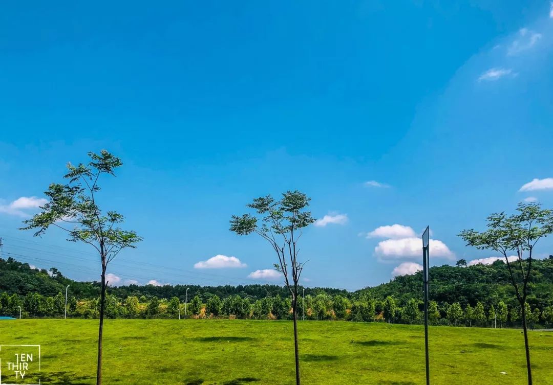 武汉必打卡排行榜,武汉十大打卡地