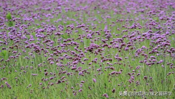 不出郑州旅游攻略,郑州五一游玩公园推荐