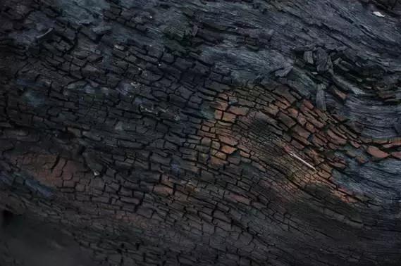 乌木到底是什么凭啥这么珍贵,乌木到底有什么价值