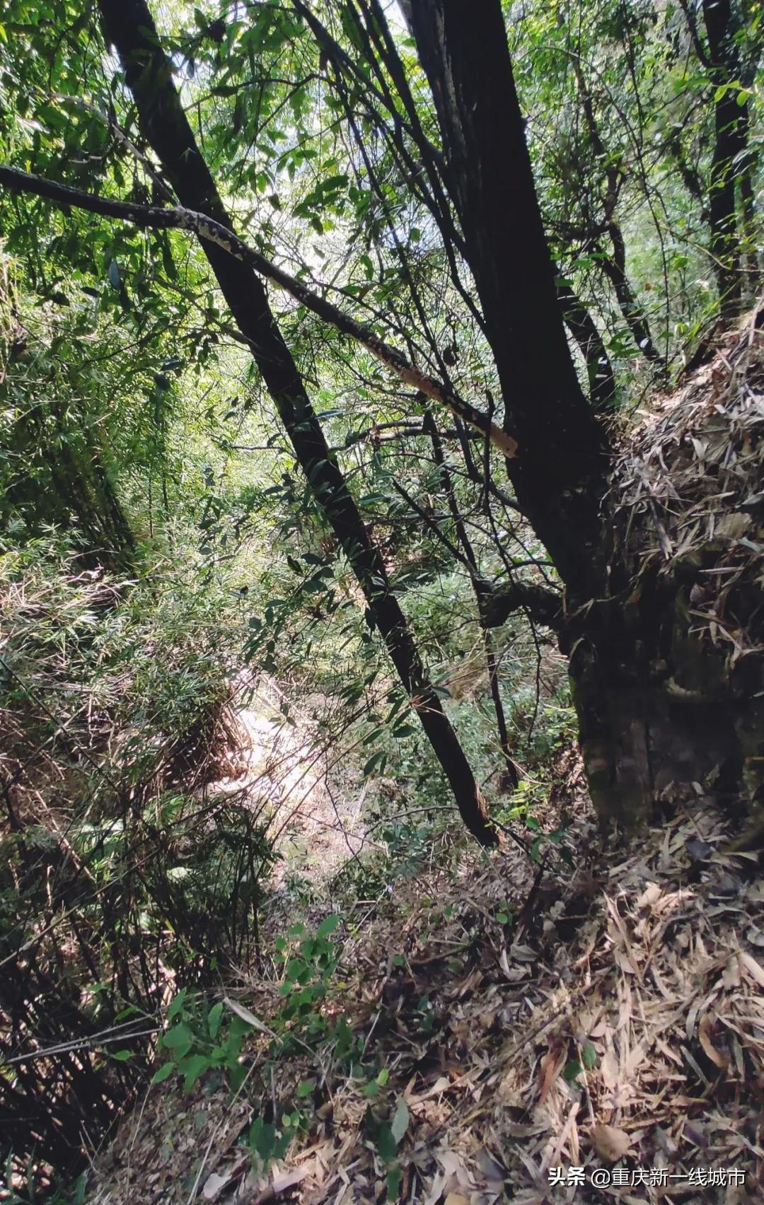 荒野求生之神秘洞穴,荒野求生神秘洞穴