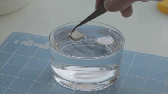 像乌鸦一样思考20集完整版中文,像乌鸦一样思考纪录片全集国语版