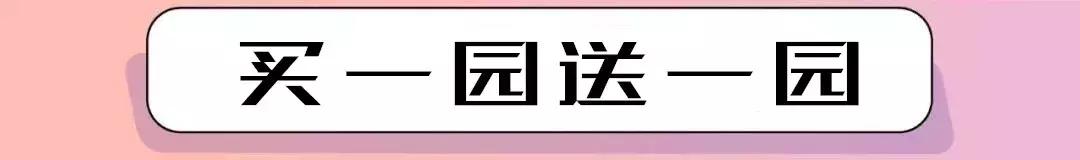 天津欢乐谷项目一览表,天津欢乐谷所有项目最新