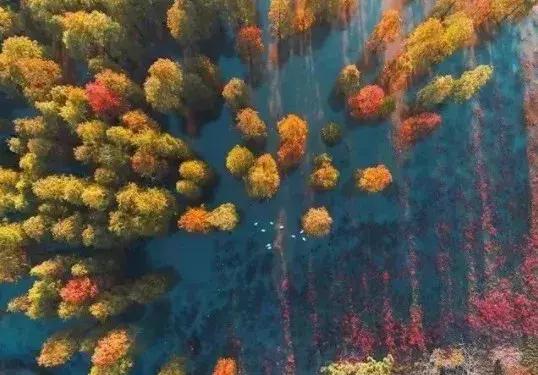 南京哪几个公园免费又好玩,南京莫愁湖公园免费