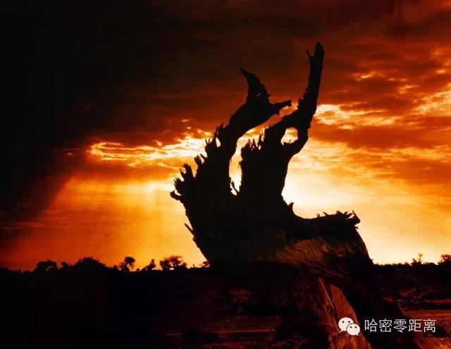 乐舞纵横,饕餮盛宴,哈密夜游正当时