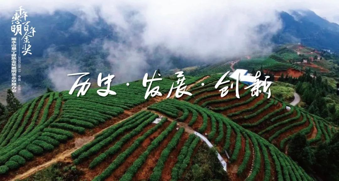 千年金奖是什么奖,千年惠明茶