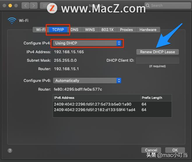 safari无法验证文件完整性,safari无法访问网址无效怎么解决
